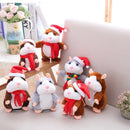 Hamster Kids Tok