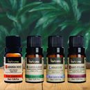 Kit 4 Óleos Essenciais Via Aroma - Ansiedade e Depressão