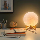 Luminária Lua Cheia - LED 3D